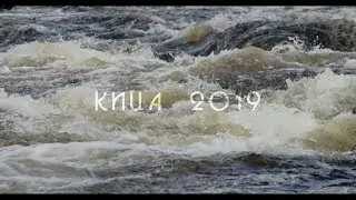 Кица 2019