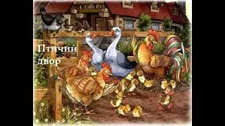 Знакомство с окружающим миром  для дошкольников - домашние птицы - птичий двор