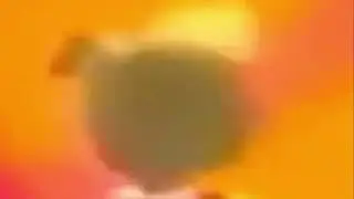 rollui