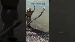 Гидроэлева Тор