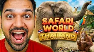 Safari World Bangkok Complete Guide 2026 — Tickets, Price, Tips & Honest Review 2026 🐯