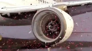 CROWD vs AIRPLANE ENGINE animation ||@Skylark_07