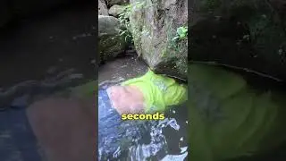 This Kid has NO Fear (