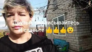 переезд на юг из Сибири.  Я в шоке . В сибири -20 у нас +20
