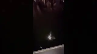 прыжок в воду