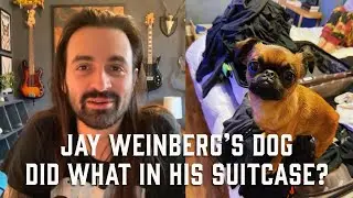 How Jay Weinberg's Dog Papaya shows her displeasure with him leaving for tour.