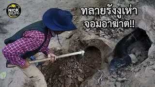 ลุยดิบ EP 19 ทลายรังงูเห่าจอมอาฆาต!!