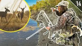 Hunting a BIG BUCK'S pattern! (October bow hunting)