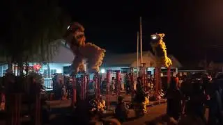 Keningau Ding Fui Sheng Sabah,Malaysia Lion dance 2020