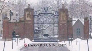 A stroll in the snow
