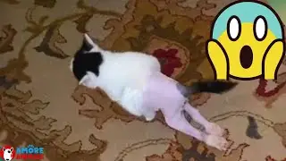 Doug, paralyzed after being tortured, returns to walk thanks to love