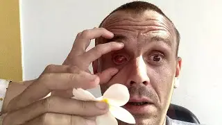 САШЕНЬКА-РАСЧЕХЛЕНИЕ