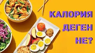 Калория Деген Не? | Adam Taný