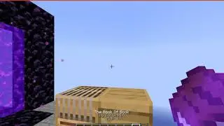 Held Item Info 1.15.2 & 20w10a (1.16) Fabric Mod Overview