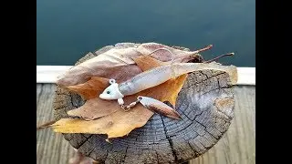 The Best Fall  Fishing Lure?