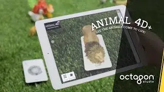 New Features in Animal 4D+ Augmented Reality Flashcards | Octagon Studio