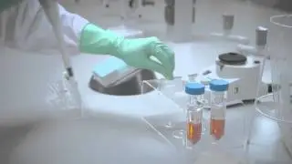 Rapid & easy solution for reliable mycoplasma contamination control