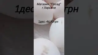 Цена за 1 десяток яиц 