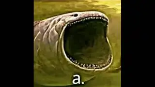 a.