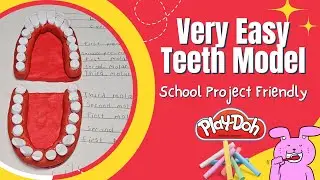 Very Easy Teeth Model Using Play-Doh Clay and Chalk