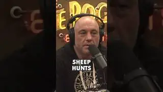 Cliff and Joe Rogan TALK MOUNTAIN GOAT Hunting 