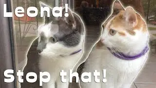 Leona! What Have We Told You?