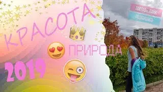 КРАСОТА