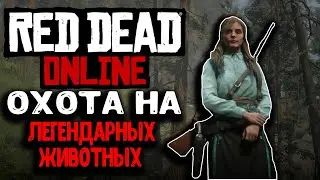 RED DEAD ONLINE | КАК ОХОТИТЬСЯ НА ЛЕГЕНДАРНЫХ ЖИВОТНЫХ?  ОБНОВЛЕНИЕ НАТУРАЛИСТ - ГАЙД