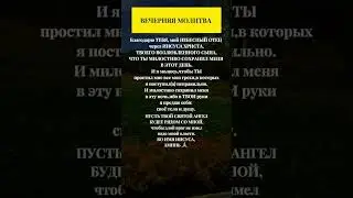 ВЕЧЕРНЯЯ МОЛИТВА #shorts #молитва #вечерняямолитва #вера #духовность #ОтецНебесный #ИисусХристос
