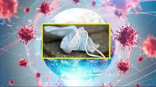 Экопроект  Не сори ИСЗ 3 Г класс Нечаев Антон