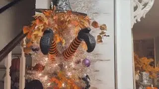 Decorando árbol para Halloween.