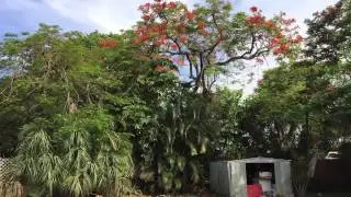 Hover Test With 3DR Solo
