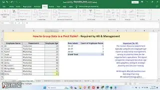 How to Group Data in a Pivot Table? - Required by HR & Management