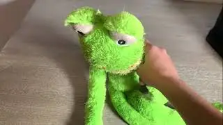 Oversized Dog Frog Toy Review