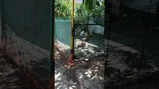 Это чо за гаражи? #кубань #краснодар
