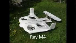 Ray VTOL Aircraft Concept