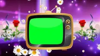 Beautiful Wedding Video Background Green Screen Animated Effects Video