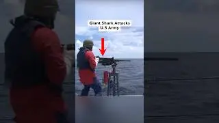 US cost guards attacked by shark while swimming
