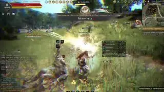 Залетели в Black Desert