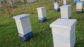 Обработка от клеща Варроа  Итоги