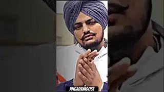 410 SIDHU MOOSE WALA SUNNY MALTON TRENDING SONG #sidhumoosewala #5911 #panjab #2024 #brampton #viral