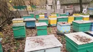 Съездил на пасеку 03 11 2020