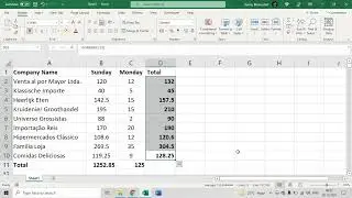 Auto Sum for Rows & Columns