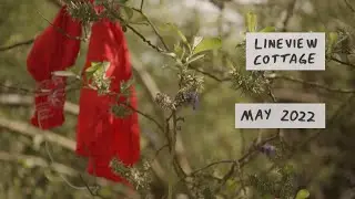 May 2022 // Railway Cottage Renovation