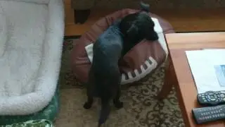 Sally playing with her football