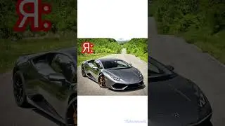 мой тю́льпан