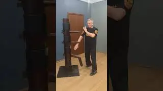 Самооборона. Вин Чун. Рафаил Мустафин. 1 Апреля 2024 г. 