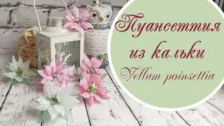 Пуансеттия из кальки / vellum poinsettia tutorial