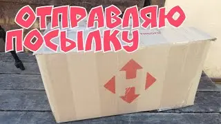 Как упаковать растение для пересылки
