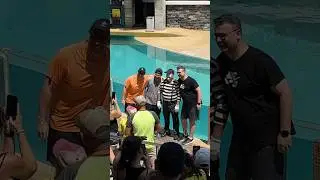 Tom the mime SeaWorld #seaworldmime #funny #seaworld #comedy #funnyvideo #fun #funnyshorts